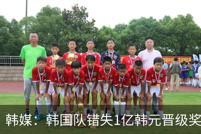 韩媒：韩国队错失1亿韩元晋级奖 但每人仍可拿8000万津贴