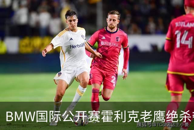 BMW国际公开赛霍利克老鹰绝杀夺首冠 吴阿顺T7