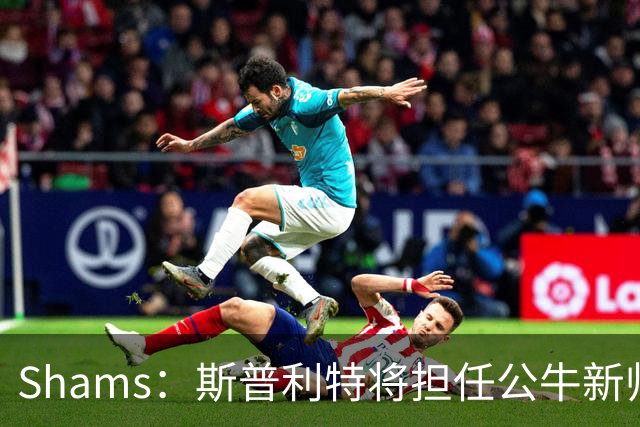 Shams：斯普利特将担任公牛新帅 上赛季率开拓者获西部第七